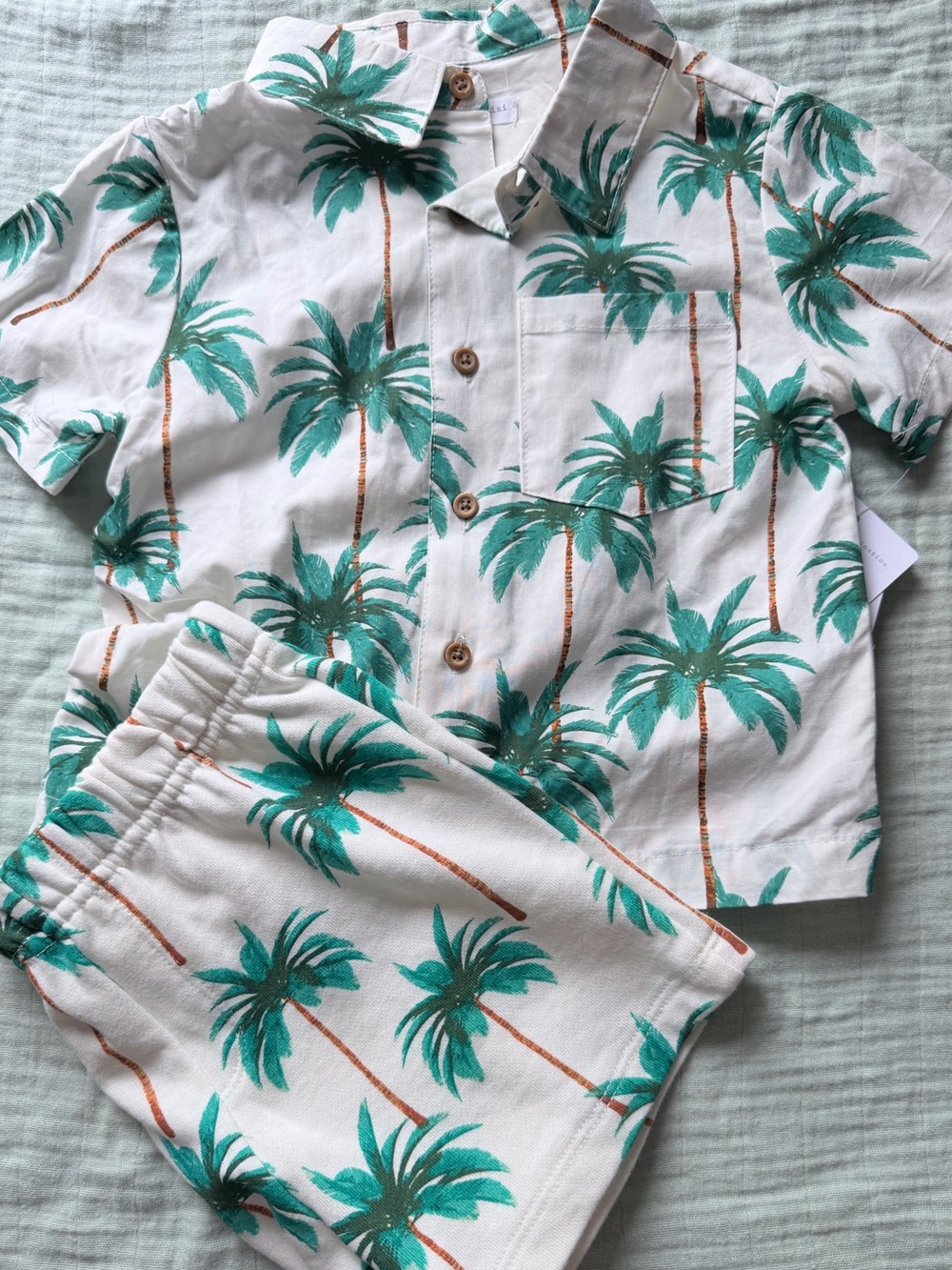 Baby Boy Palm Tree top and bottom Set